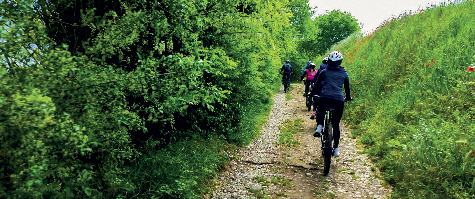 Franciacorta Bike Tour - Contatti