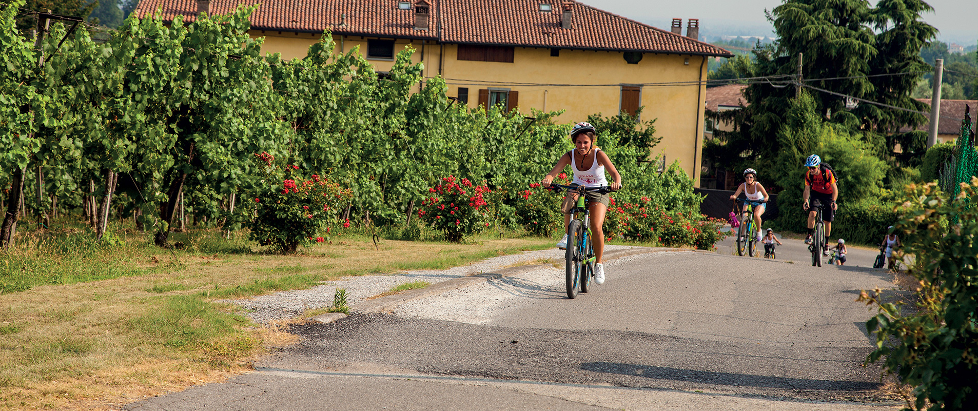 Franciacorta Bike Tour - Tour