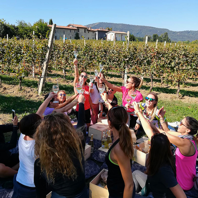 Picnic nei vigneti